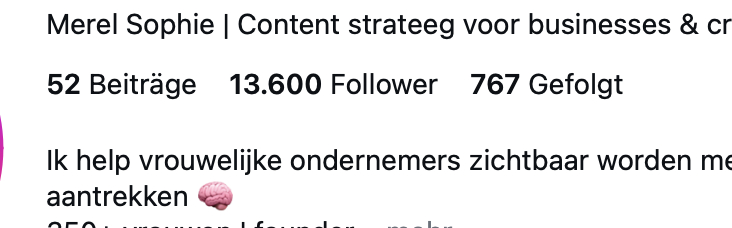 Merel Sophie 13,600 Followers Growth Proof